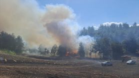 Kozan'da Orman Yangınına Hızlı Müdahale