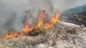 Kula'da Orman Yangınına Müdahale Başlatıldı