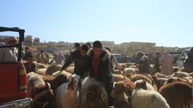 Kurban Bayramı'na Dönen Sivillerin Coşkusu