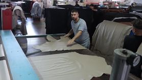 Kurban Derilerinin Ekonomik Katkısı ve Doğru Kesim Yöntemleri