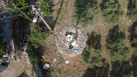 Manisa'da Leylekler İçin Enerji Hattı Taşındı