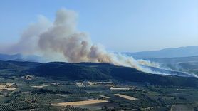 Manisa'da Orman Yangını Kontrol Altına Alındı