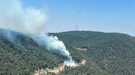 Manisa'da Orman Yangınına Hızla Müdahale Ediliyor
