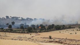 Mardin'de Orman Yangını Kontrol Altına Alındı