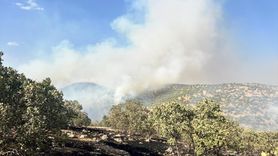 Mardin Nusaybin'de Korkutan Orman Yangını