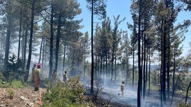 Mersin'deki Orman Yangını Kontrol Altına Alındı