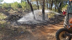 Muğla'da Orman Yangını Kontrol Altına Alındı