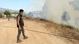 Muğla'da Orman Yangını Kontrol Altına Alındı