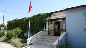 Muş'ta Koruma Altına Alınan Kurt Yavruları