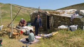 Muş'ta Yaz Yayla Hayvancılığı Başladı