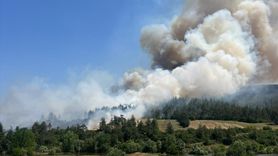 Orhaneli'de Yangın Kontrol Altına Alınmaya Çalışılıyor
