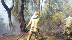 Osmaniye'de Orman Yangını Kontrol Altına Alınıyor
