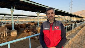 Sadakataşı Derneği Mısır'da Gazze İçin Kurban Kesimini Tamamladı