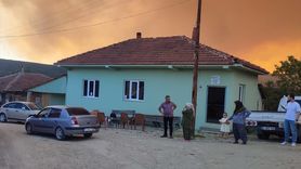 Sakarya'daki Orman Yangını Bilecik'i Tehdit Ediyor