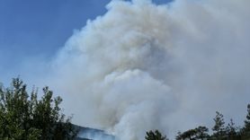 Sakarya'daki Orman Yangınına Hızla Müdahale Ediliyor