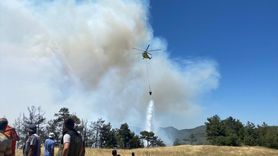 Sakarya'daki Orman Yangınına Müdahale Devam Ediyor