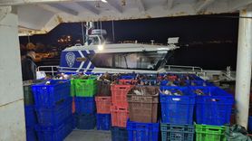 Samsun'da Kaçak Avcılığa Geçit Yok: 6 Ton Kalkan Balığı Ele Geçirildi