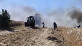 Samsun'da Yangın Felaketi: 11 Dönüm Buğday Tahrip Oldu