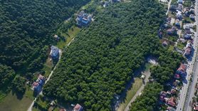 Samsun'un Doğa Harikası: Çakırlar Korusu