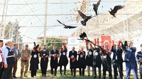 Şanlıurfa'da 45 Kelaynak Doğaya Salındı