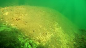 Sapanca Gölü'nde 53 Yıl Sonra Uçak Enkazı Görüntülendi