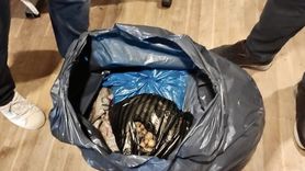 Sinop’ta İzinsiz Yabani Orkide Satışı Engellendi