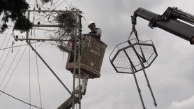 Sinop'ta Leylekler İçin Yapay Platformlar