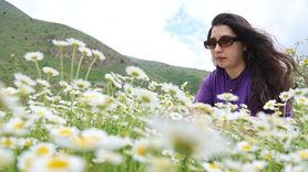 Sırakayalar Şelalesi, Bayburt'un Doğal Güzellikleri Arasında