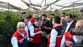 Tarım ve Orman Bakanı Yumaklı, Siirt'te Böğürtlen Hasadına Katıldı