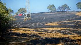 Tekirdağ'da 200 Dekar Buğday Tarlası Yangında Zarar Gördü