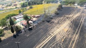 Tekirdağ'da Buğday Tarlasında Yangın: 35 Küçükbaş Hayvan Telef Oldu