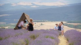 Tekirdağ'da Lavanta Tarlaları Ziyaretçilerini Ağırlıyor