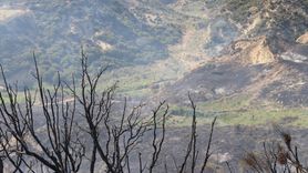 Tekirdağ'da Yangın Kontrol Altına Alındı