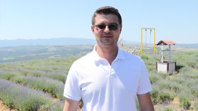 Tekirdağ'daki Lavanta Tarlaları Turizm Sezonuna Hazır