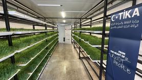 TİKA, Libya'da Hayvancılığa Destek İçin Taze Yem Projesi Başlattı