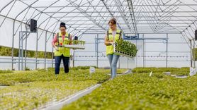 TİKA'nın Bosna Hersek'teki Tarımsal Destek Projesi