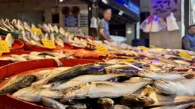 Trabzon Balık Tezgahlarında Bolluk