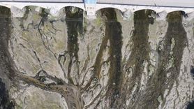 Tunca Nehri'nde Kuraklık Tehlikesi: Su Seviyesi Kritik Düşüşte