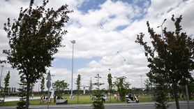 Uçurtmalar Bağımlılıkla Mücadele İçin Gökyüzünde Süzüldü