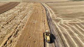 Uşak'ta Kuraklığa Dayanıklı Tohumların Hasadı Gerçekleştirildi