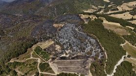 Yangınla Mücadele Sürüyor: Sakarya ve Bilecik'teki Orman Yangınına Hızla Müdahale