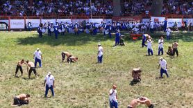 664. Kırkpınar Yağlı Güreşleri'nde İlk Tur Mücadeleleri Tamamlandı