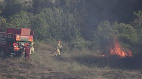 Adana'daki Orman Yangını Kontrol Altına Alındı