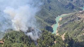 Adana'nın Kozan İlçesinde Yangın Çıktı