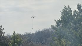 Adıyaman'daki Orman Yangını Kontrol Altında