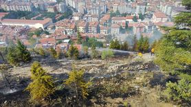 Afyonkarahisar'daki Ağaçlık Alanda Yangın Kontrol Altına Alındı