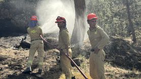 Afyonkarahisar'daki Orman Yangını Kontrol Altına Alındı
