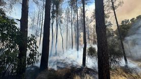 Aksu'da Orman Yangınına Müdahale