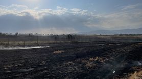 Amasya'da Yangın: 250 Dönüm Tarım Arazisi Zarar Gördü