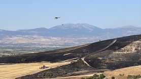 Amasya'daki Tarım Arazisinde Yangın Kontrol Altına Alındı
